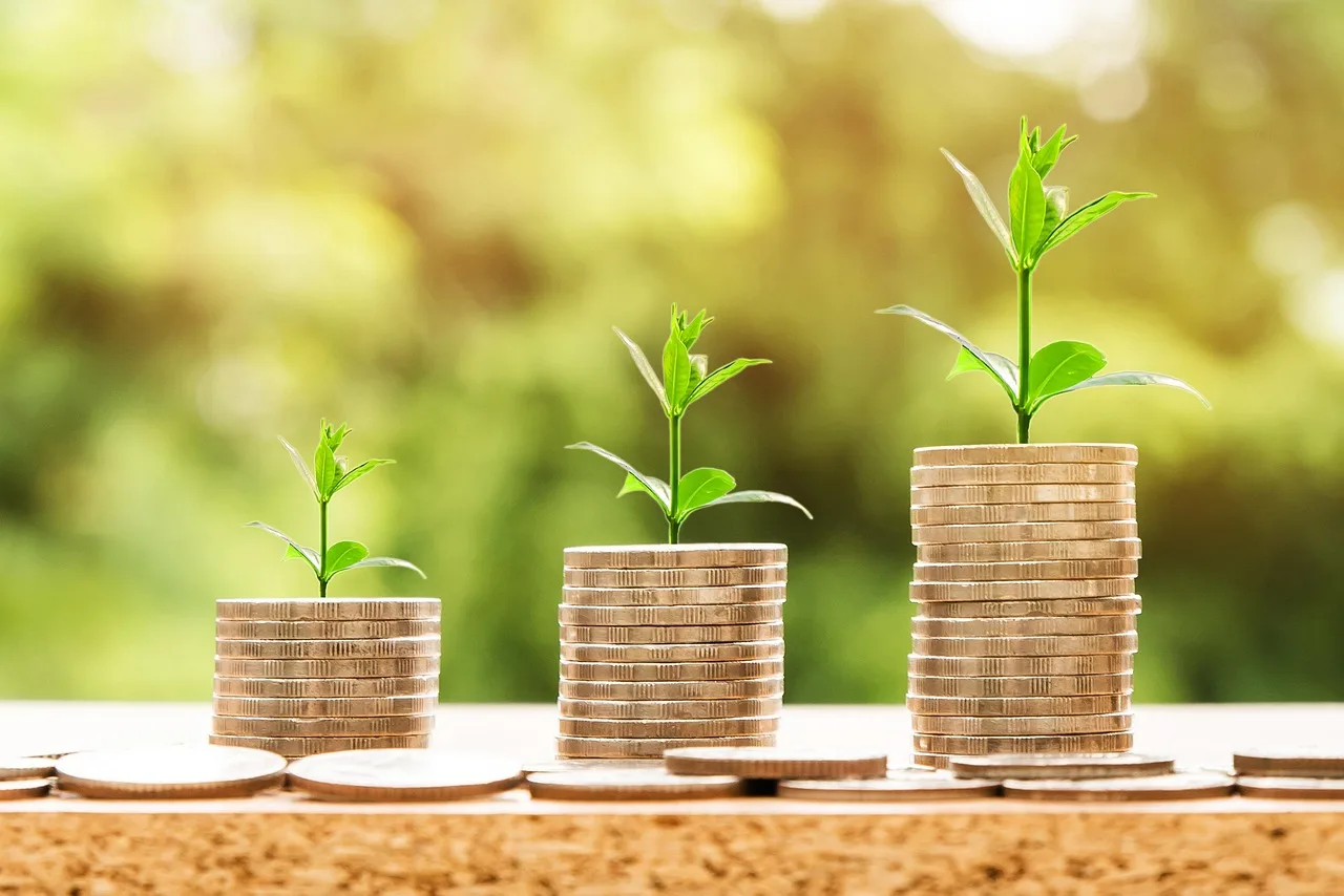 money, profit, finance, business, return, yield, financial, cash, currency, investment, banking, wealth, coin, economy, success, loan, salary, rich, credit, payment, savings, save, deposit, growth, income. CFP vs CFA: which pays better for a business career?