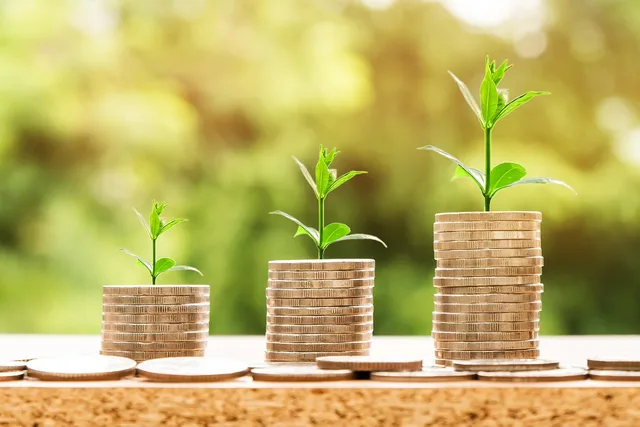 money, profit, finance, business, return, yield, financial, cash, currency, investment, banking, wealth, coin, economy, success, loan, salary, rich, credit, payment, savings, save, deposit, growth, income. CFP vs CFA: which pays better for a business career?