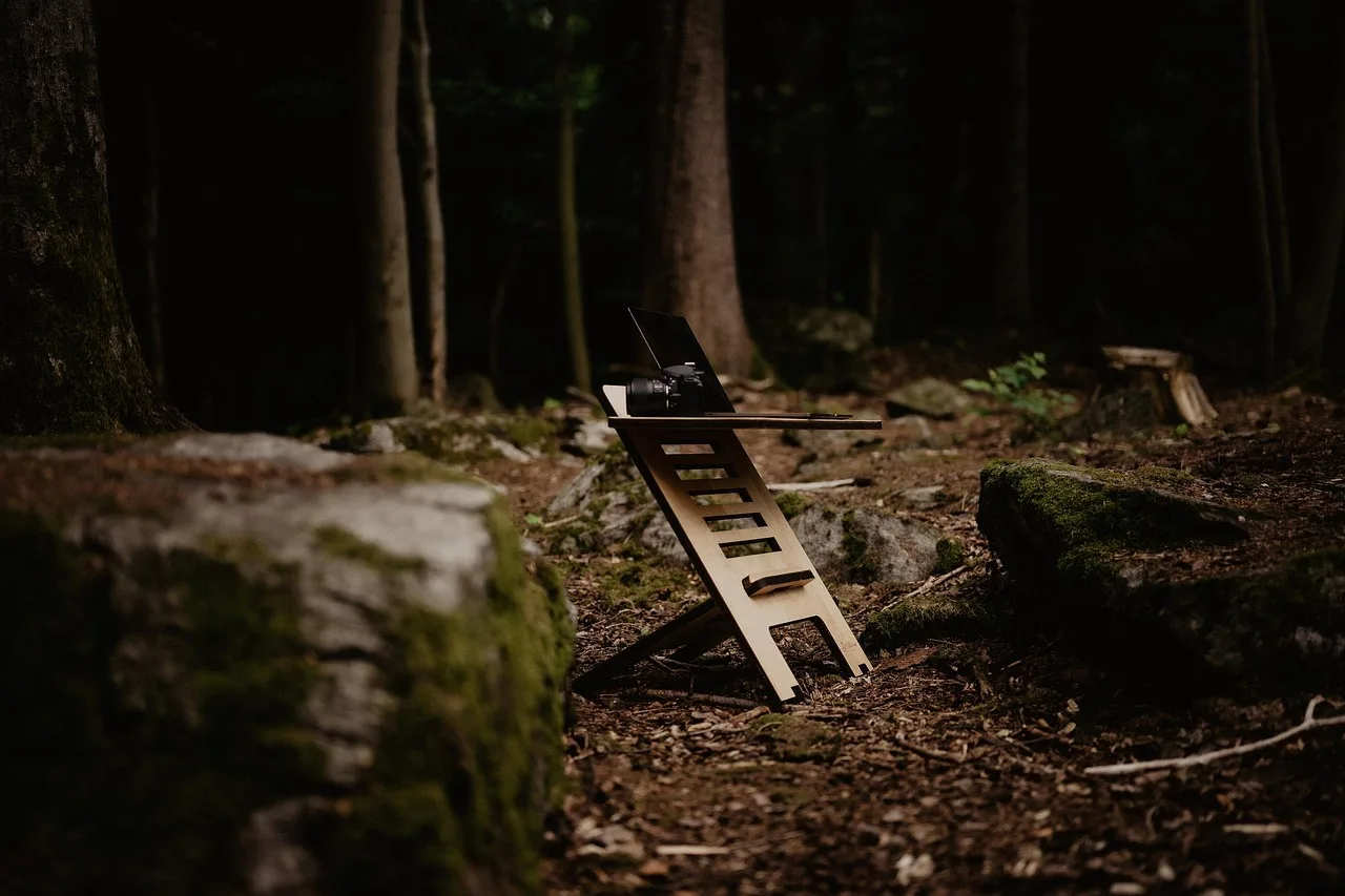 forest, nature, scenic, photography, fall, work station, online meeting, zoom meeting, desk. Remote Marketing Jobs: Salary and State Tax Facts in the US